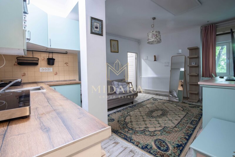 Studio Piata Romana | ASE | Centrala proprie | Pet-friendly